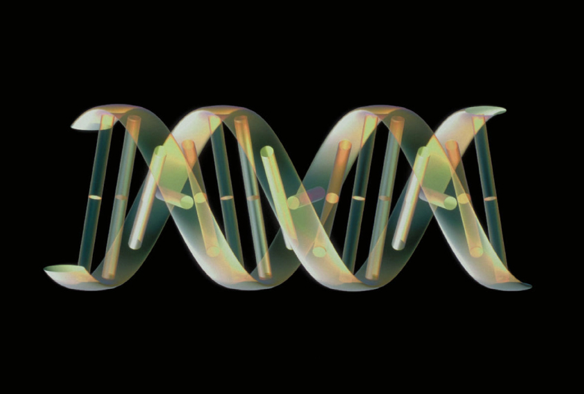 a virus shuttling between cells