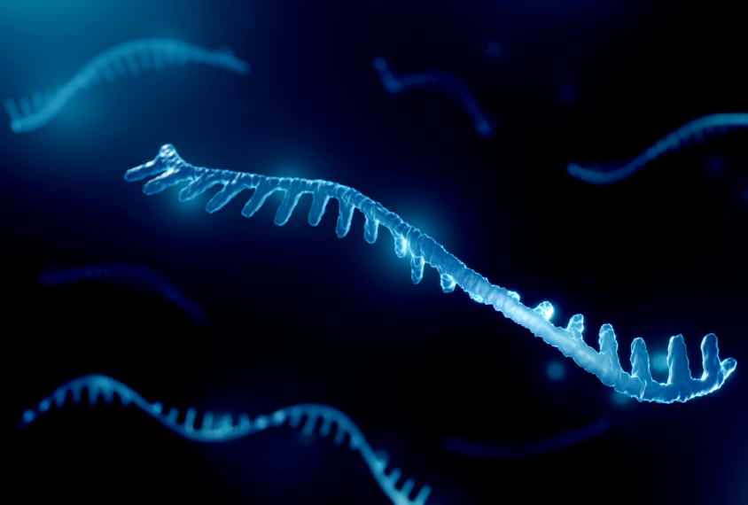 Illustration of microRNA.