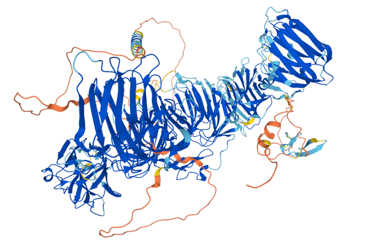 AI-generated 3D image of the neurexin-1 protein.
