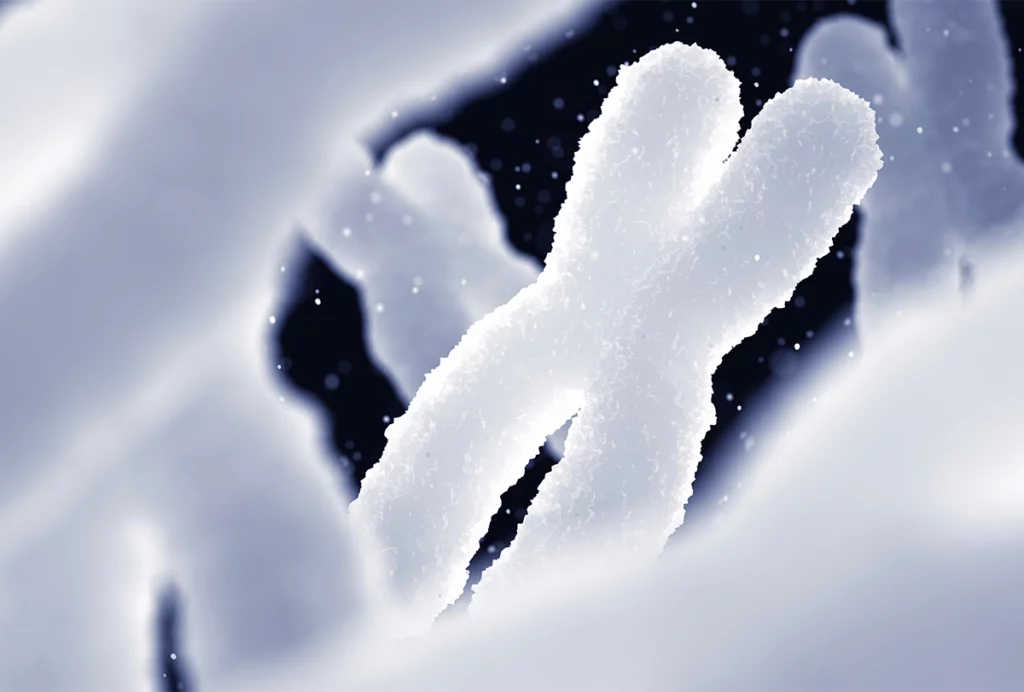 Illustration of a chromosome.