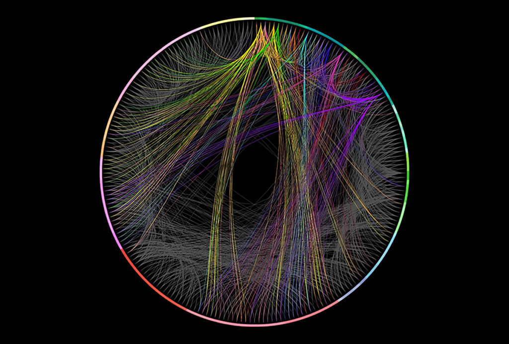 A circle with many colorful lines within it against a black background.