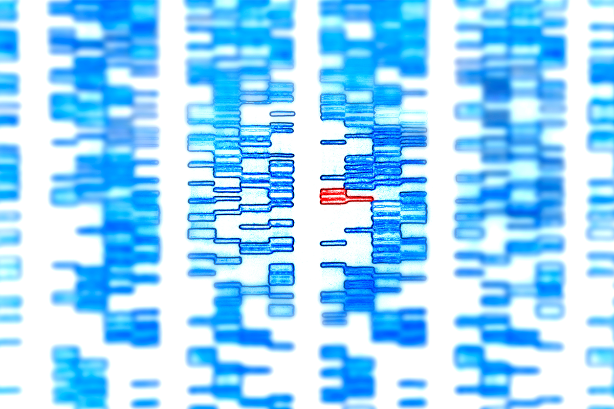 A set of gene sequences in blue with a small portion colored red.