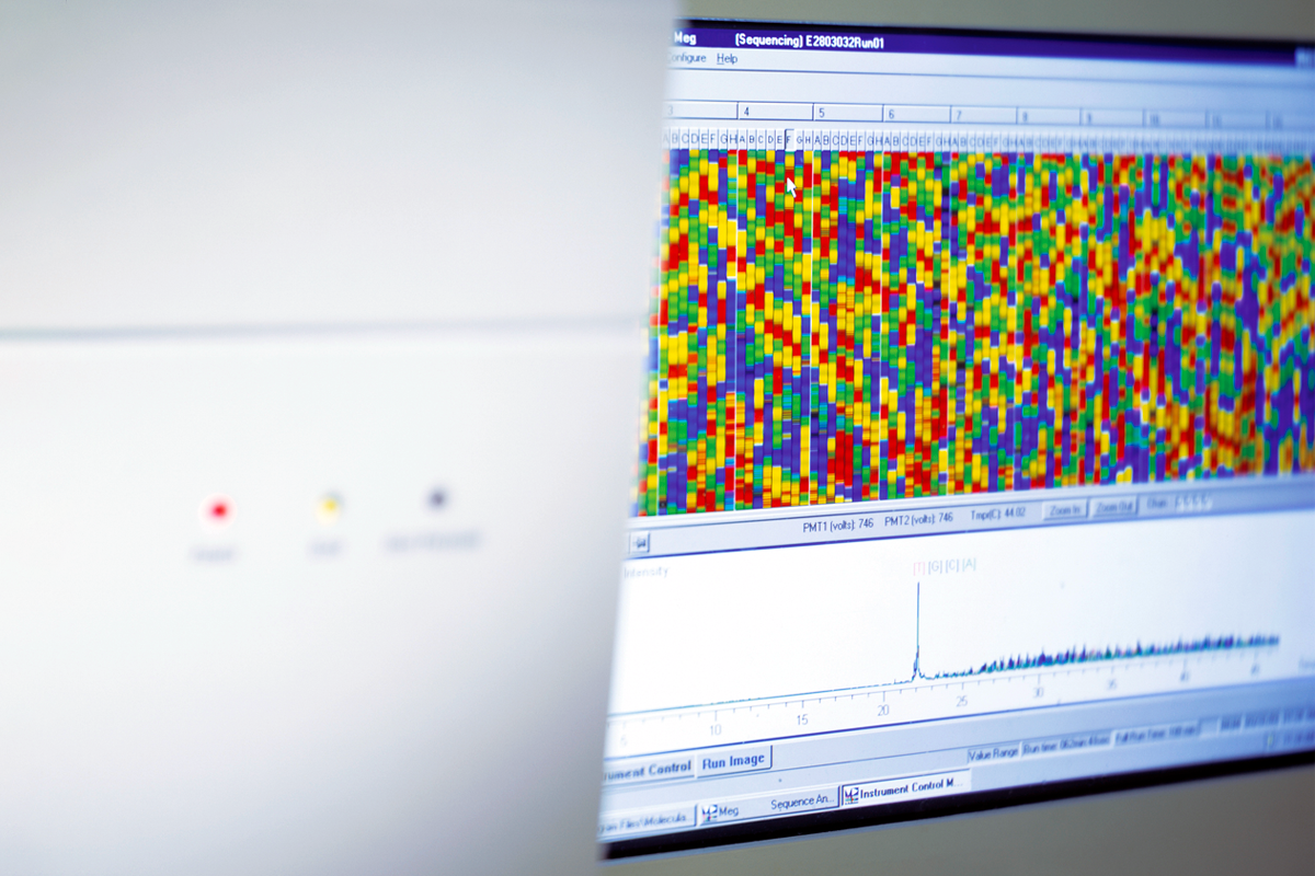 Close-up of DNA sequencing on a computer monitor.