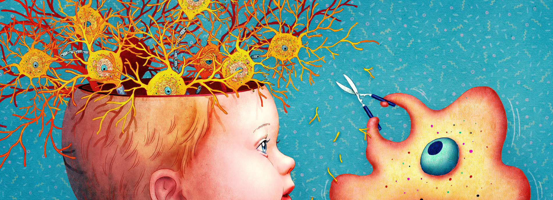 Dendrites bloom in a surreal manner from an infant's head. A microglia with a pair of shears comes in to prune the excess wiring, suggesting the role that microglia play in child brain development.