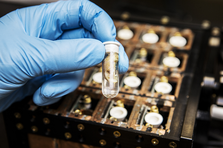 Doctor Jacob Ellegood adds a sample to the apparatus which holds up to 16 mouse brains in his Toronto lab on October 14, 2016.