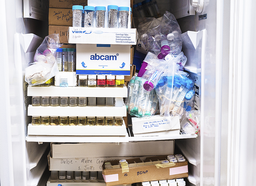 Doctor Jacob Ellegood takes a sample from the freezer which contains frozen mouse brains in his Toronto lab on October 14, 2016. JENNIFER ROBERTS