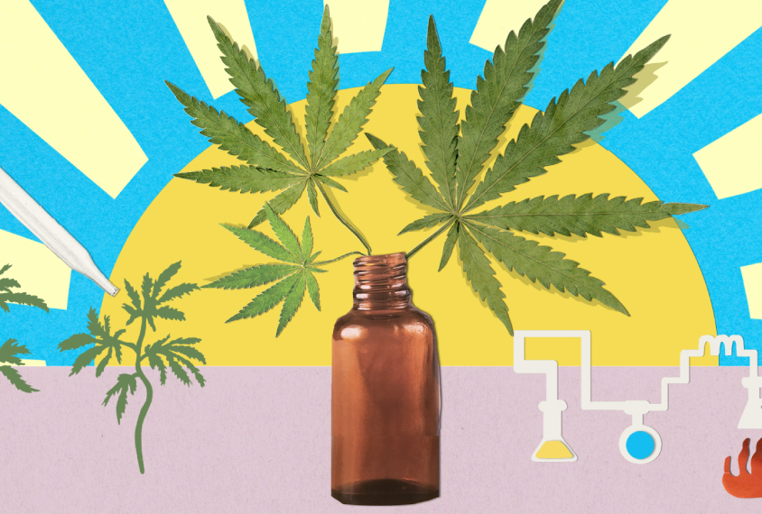 Collage illustration shows sun rising behind medicine dropper with marijuana leaves growing out of it.