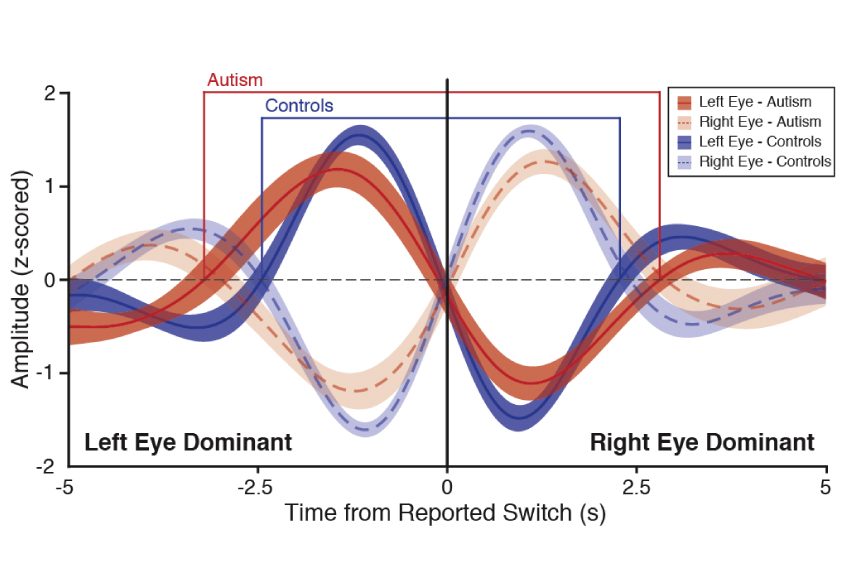 graphic shows eye movement patterns