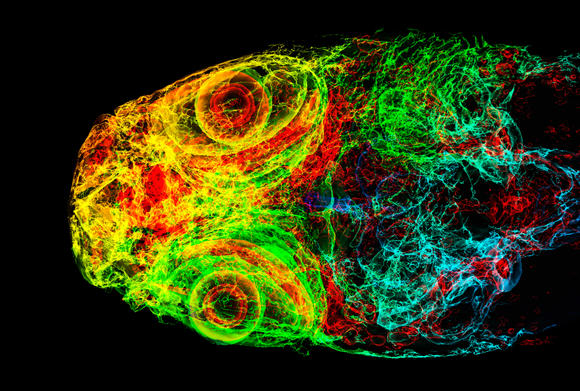 Colorful CT scan of a zebrafish head.