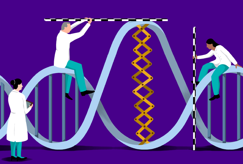 researchers analyzing a big change in a DNA helix