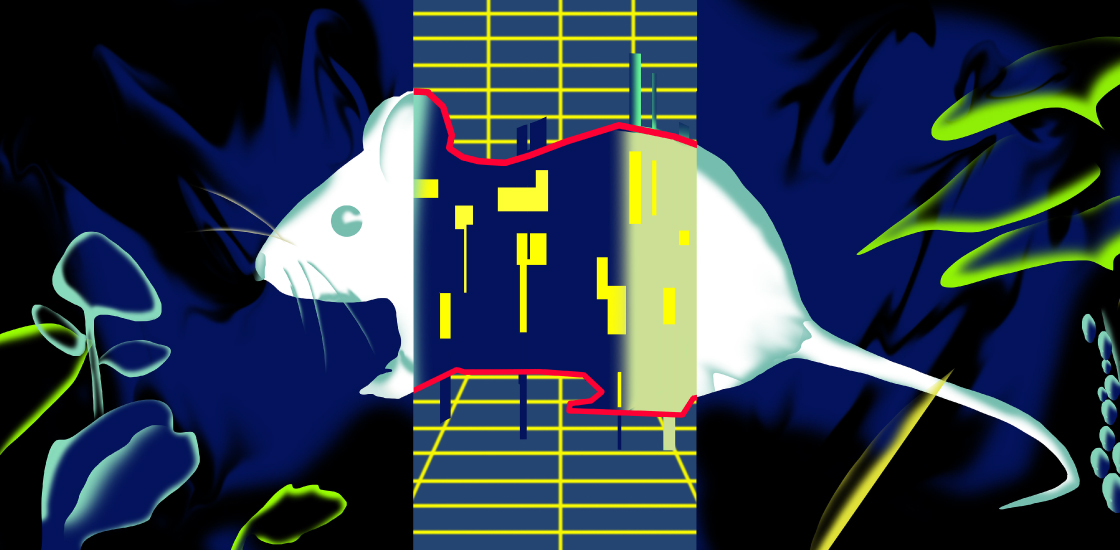 Illustration of a rat in profile with the middle section of its body replaced by a red outline containing small yellow polygons against a navy blue background