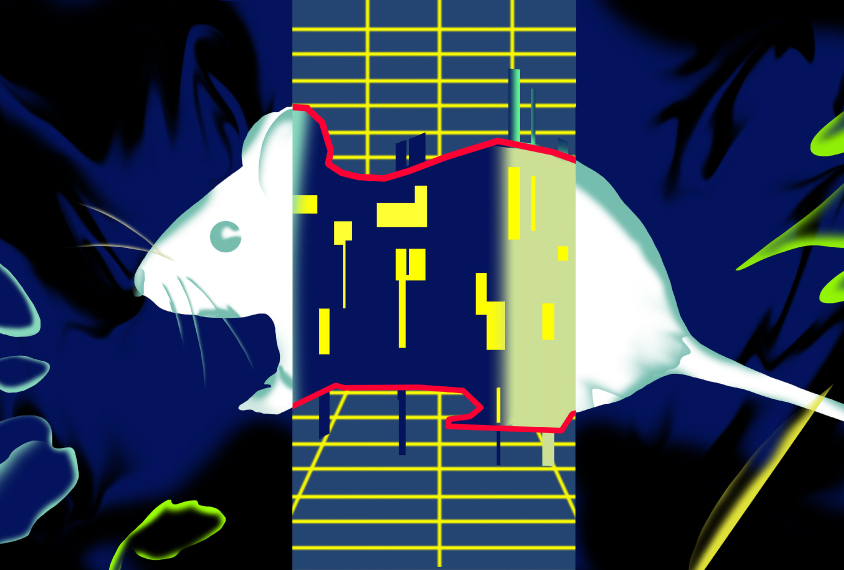 Illustration of a rat in profile with the middle section of its body replaced by a red outline containing small yellow polygons against a navy blue background