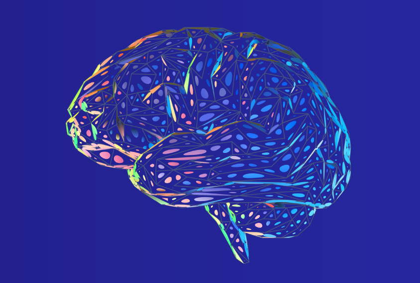 Multicolored human brain shape floating on blue background