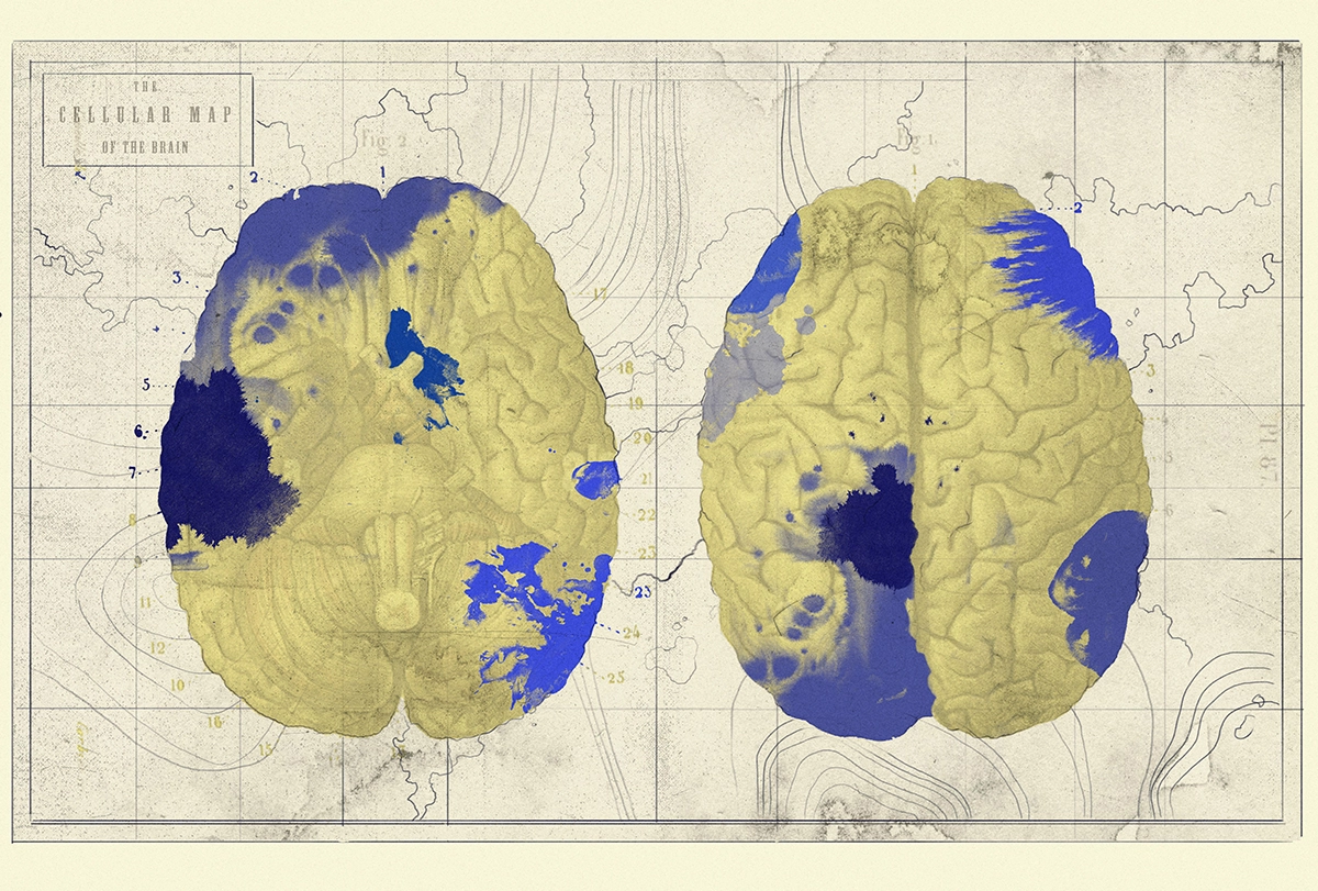 A playful cellular map features top-down and bottom-up views of the human brain arranged side-by-side as if they were the earth’s two hemispheres in an old-fashioned map of the world. The brains are colored to suggest land masses and bodies of water.