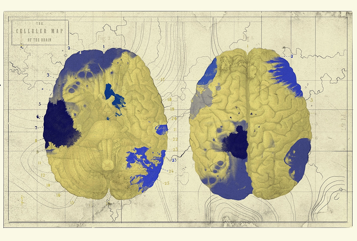 -A playful “cellular map” features top-down and bottom-up views of the human brain arranged side-by-side as if they were the earth’s two hemispheres in an old-fashioned map of the world. The brains are colored to suggest land masses and bodies of water.