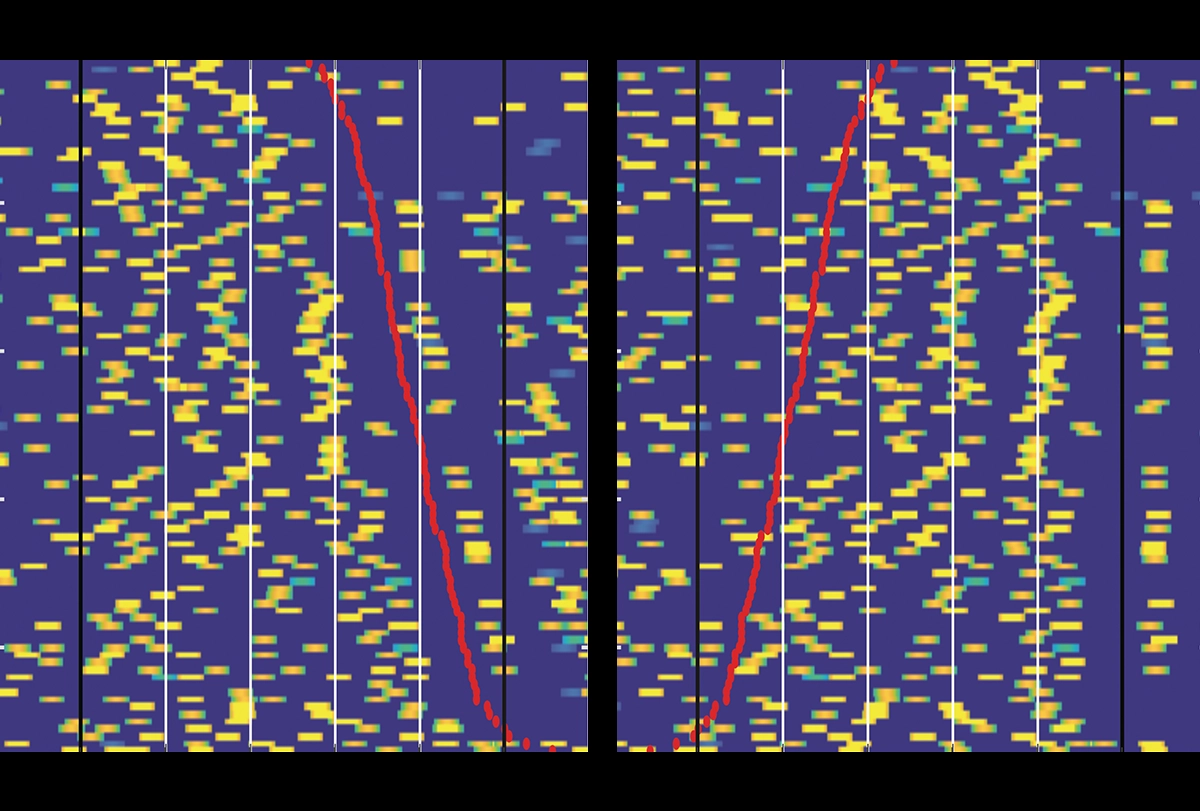 Research image of the activity of a single neuron in a monkey brain.