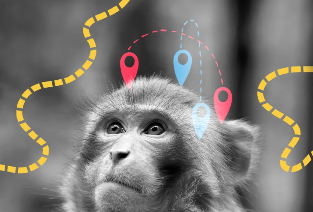 Illustration of a monkey with map-like navigation pinpoints superimposed on its head.