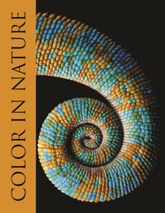 Book cover of “Color in Nature,” by Justin Marshall, Anya Hurlbert, Jane Boddy, Thomas Cronin, Ron Douglas, Sönke Johnsen and Fabio Cortesi. The cover features a colorful tendril curled into a spiral.