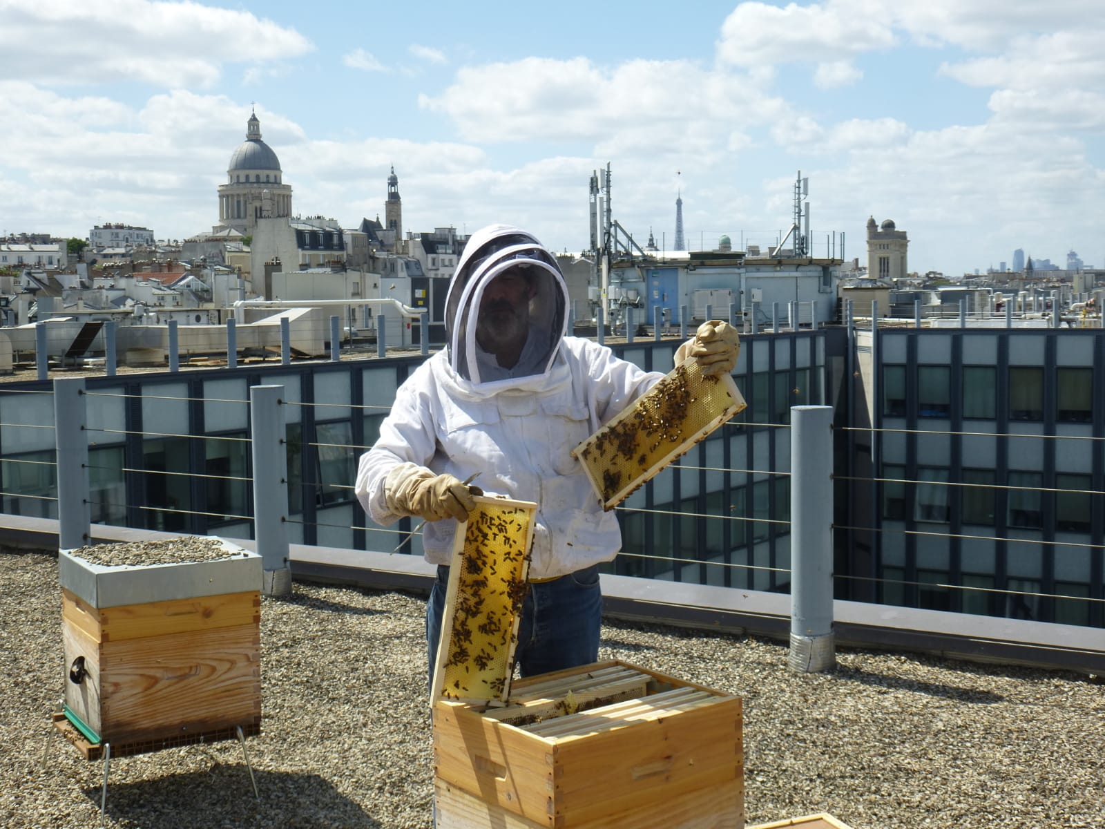 Photograph of one of Martin Miurfa's lab members tending beehives on a rooftop of the Sorbonne in Paris.