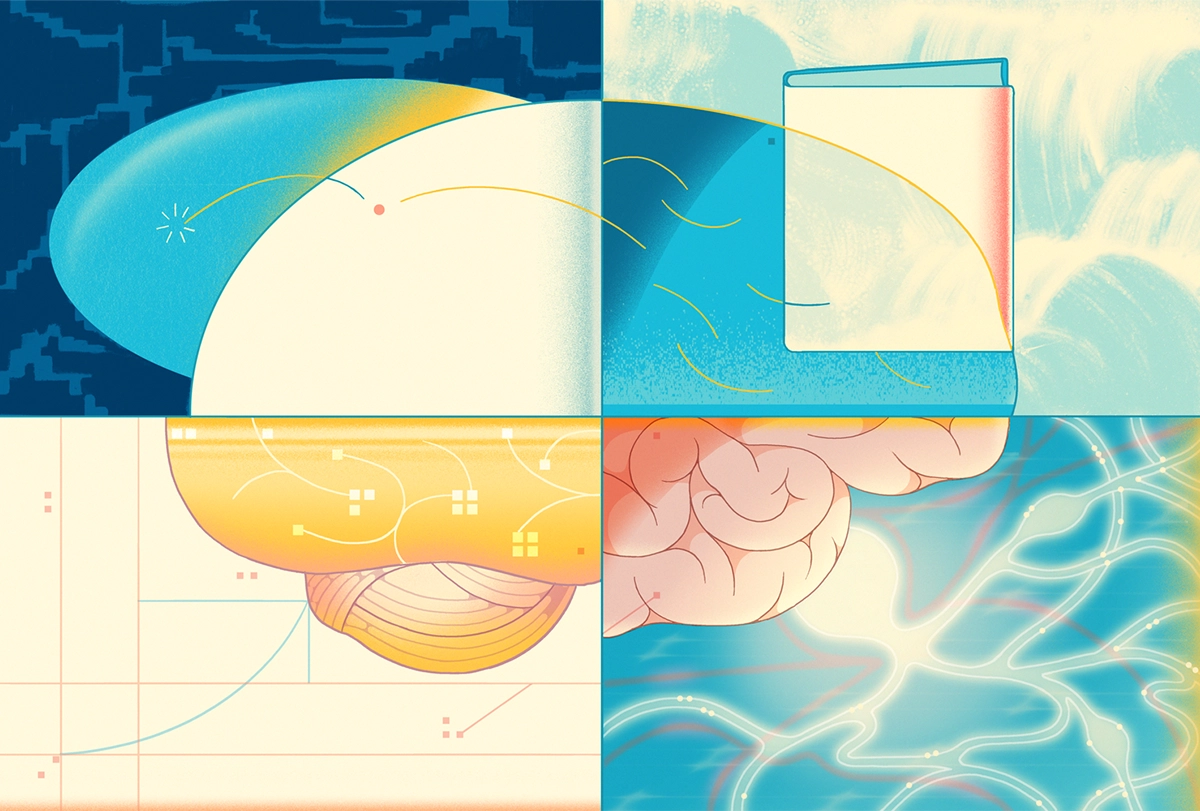 Illustration of a brain separated into four panes, each rendered in different colors and with different decorative elements.