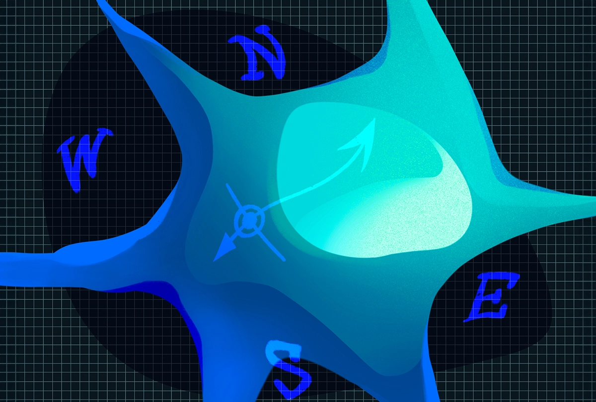 Illustration of a neuron with cardinal directions superimposed over it as on a compass.