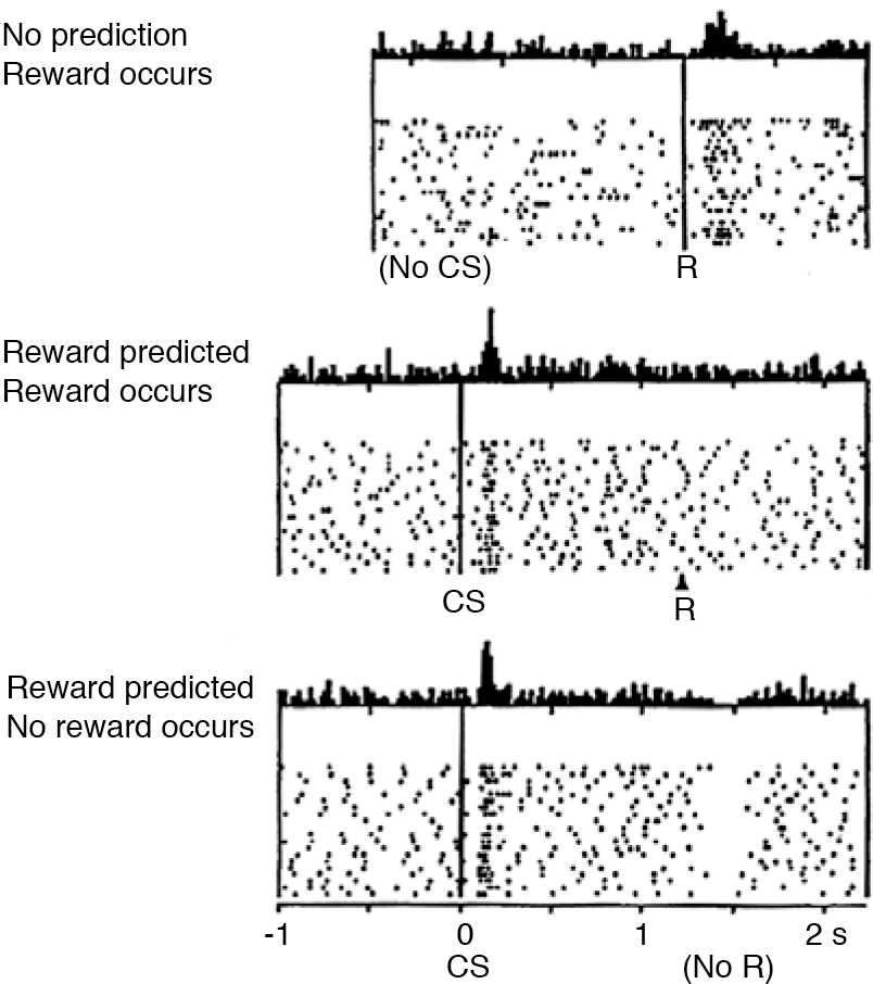 Paper figure displaying spikes and dips in the activity of monkey dopamine neurons that track with the monkey’s expectation of a reward.