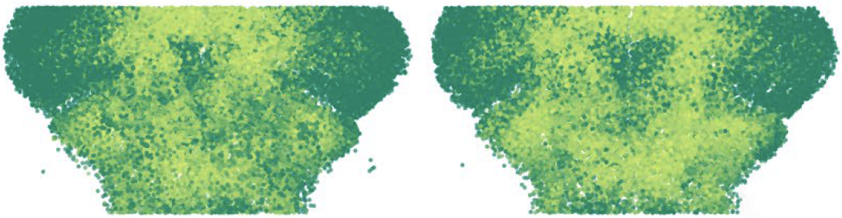 Research image displaying functional connectivity in zebrafish forebrains.