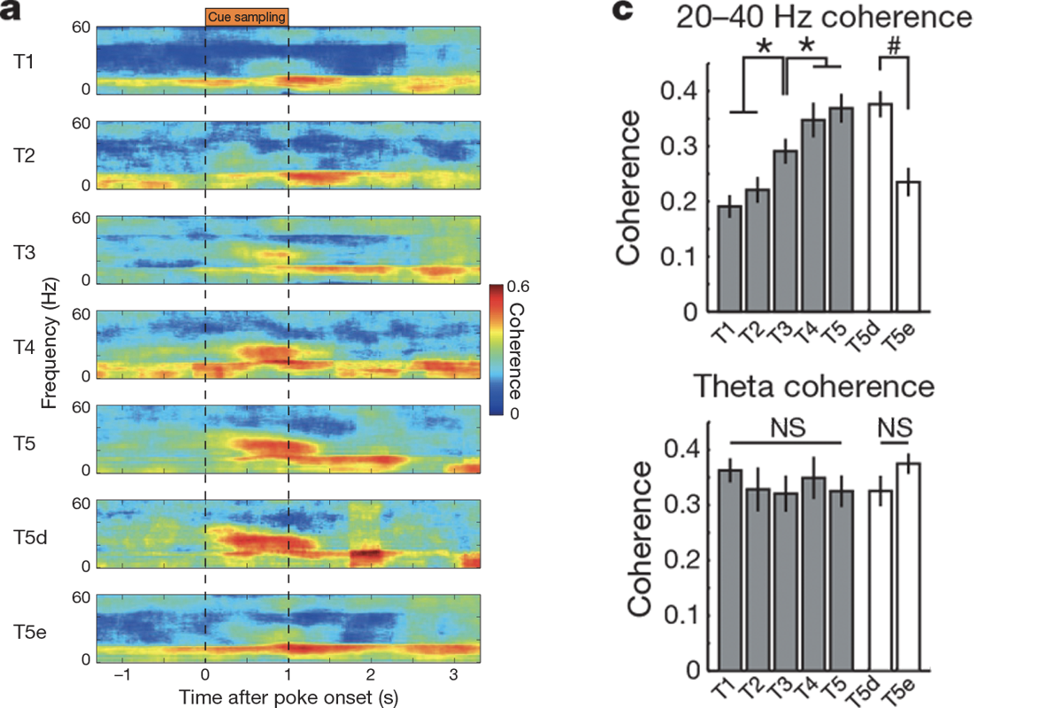 Figures 2a and 2c from Coordination of entorhinal-hippocampal ensemble activity during associative learning, by Igarashi et al (2014).