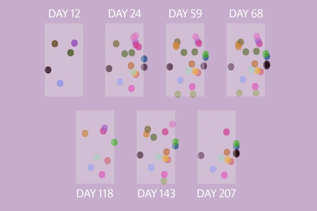 Research image of neuron positions over time in mouse brain recordings.