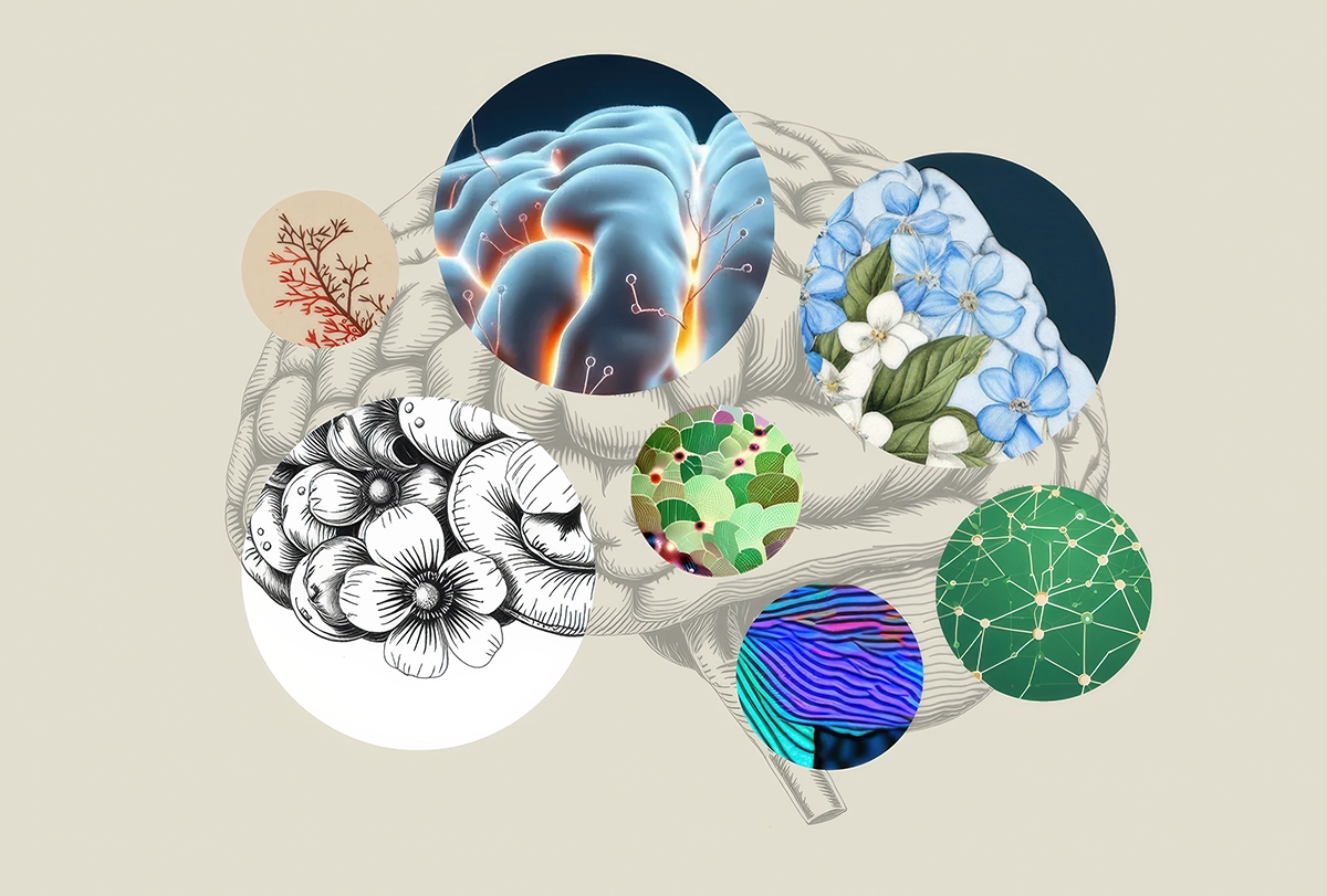 Illustration of a brain overlaid with circles containing flowers and circuit-like networks, among other images.