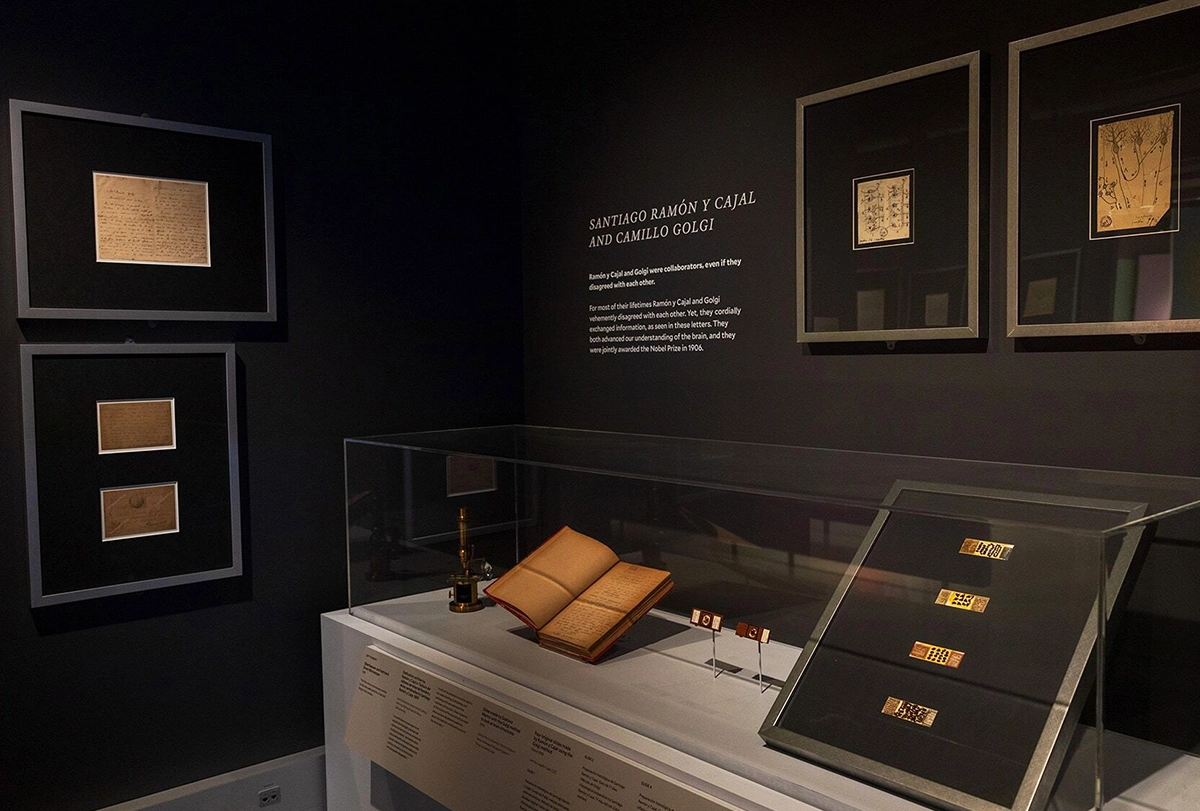 Exhibition view shows historical drawing, letters and books in low light.