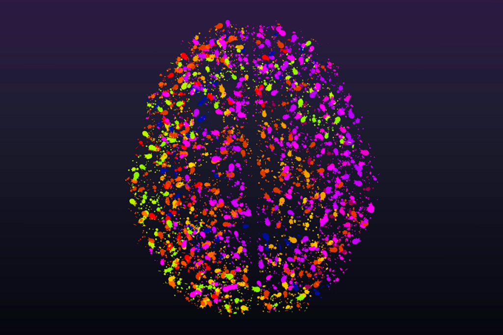 Multicolored illustration of a human brain as seen from the top down.