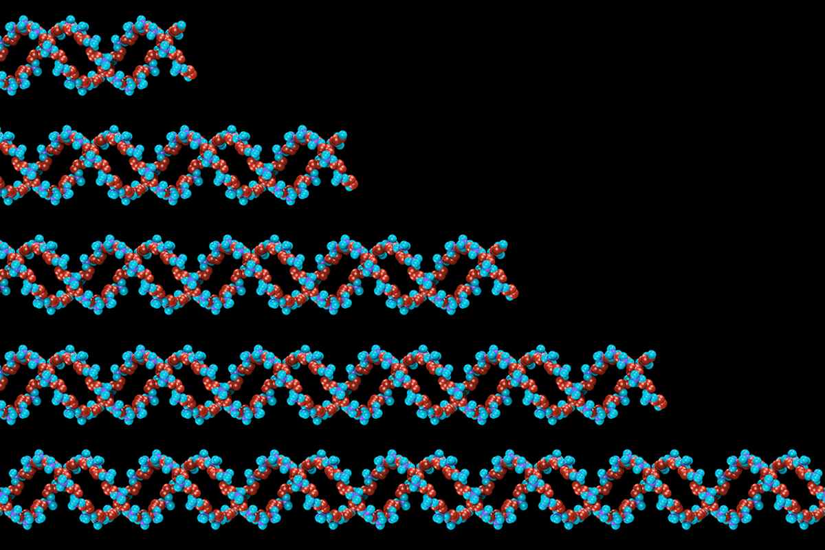 A repeated DNA strand extends farther from the left side of the image with each iteration.