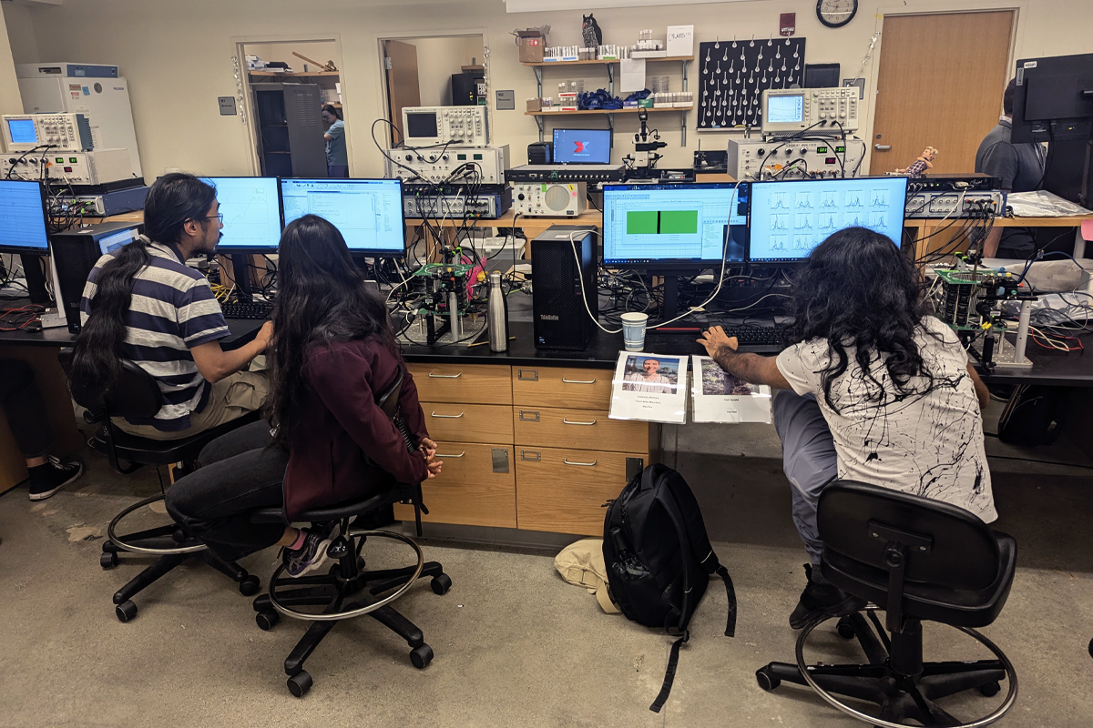 Students looking at computer monitors in a lab.