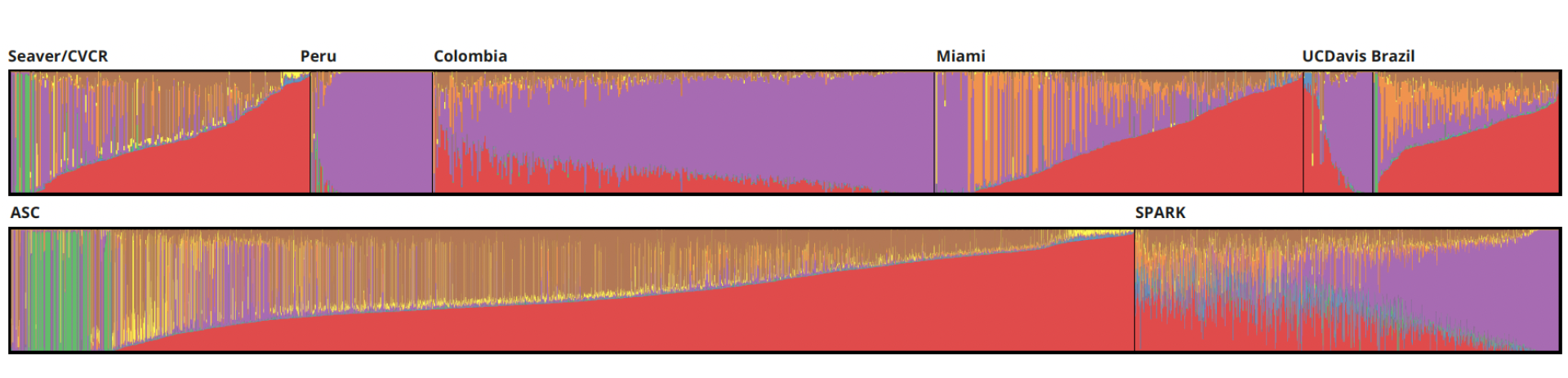 Visualization of the genetic backgrounds of members of the GALA cohort.