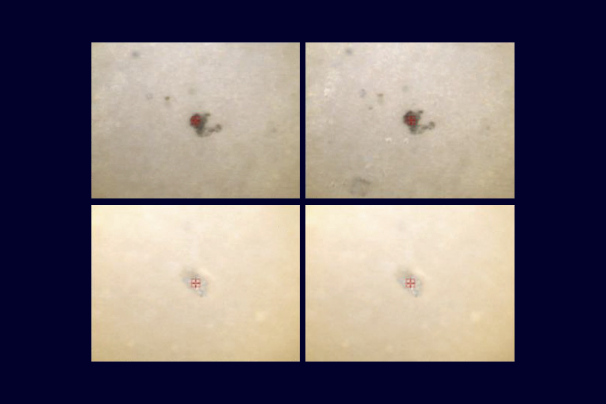 Research image showing duplicated images of potential plastic particles in brain tissue.