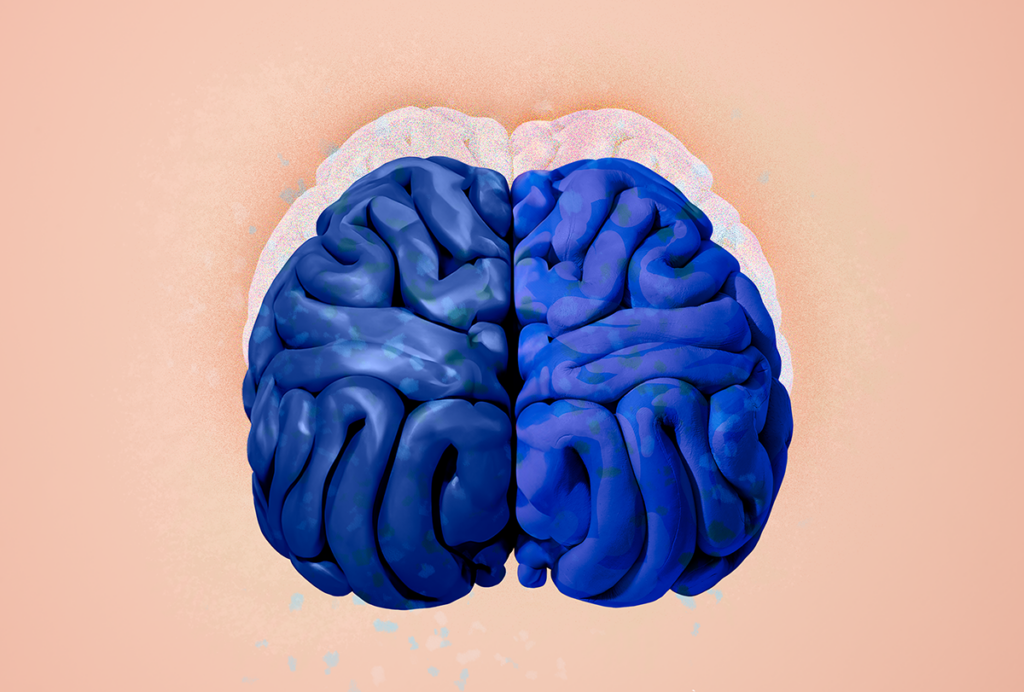 Computer-generated illustration of a brain with a faint outline of another brain superimposed slightly above it.