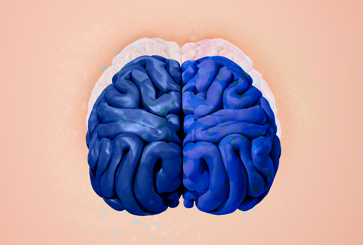 Computer-generated illustration of a brain with a faint outline of another brain superimposed slightly above it.