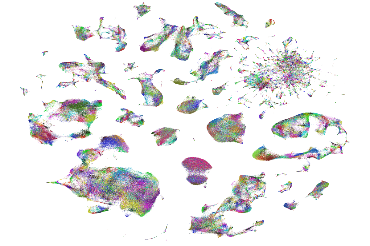 Research image of cell types in the human brain.